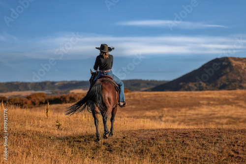 Quadro em tela Colorado cowgirl riding bay quarter horse away ranch front range