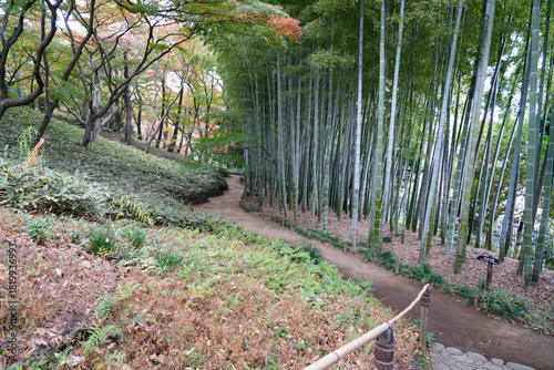秋の殿ヶ谷戸庭園