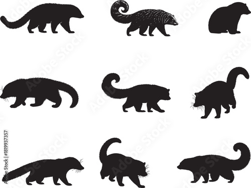 Binturong Silhouette