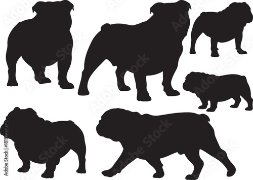 Bulldog Silhouette