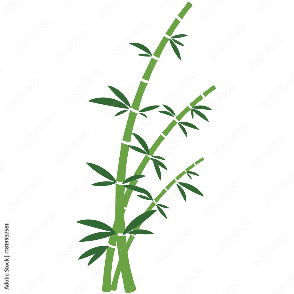 Obraz premium Vibrant Green Bamboo Stalks with Leaves on a Transparent Background Simple Illustration Botanical Element
