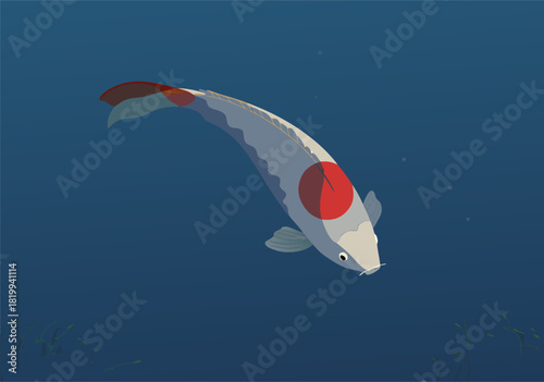 Elegant Koi Carp Fish with Distinct Red Marking Underwater Illustration