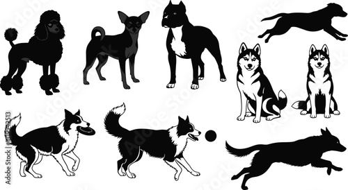 Diverse Collection of Dog Breed Silhouettes and Illustrations Vector Set, Featuring Poodle, Husky, Border Collie, and Pitbull for Pet Store and Animal Graphics