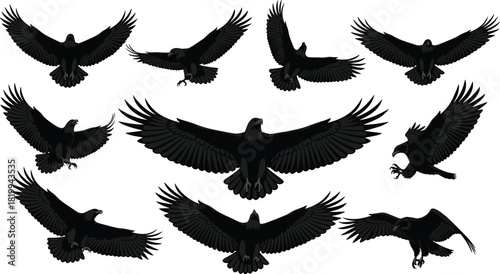 Extensive Set of Black Flying Eagle Silhouettes Vector Illustration, Capturing Majestic Birds in Various Dynamic Attack and Soaring Poses, Symbolizing  
