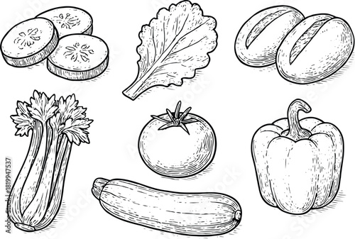 Hand drawn vintage vegetable set with tomato, cucumber, lettuce, pepper, celery and squash illustration