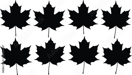 Black Silhouette of Eight Maple Leaves, Canada Symbolism and Autumn Season Nature Element, Isolated Vector Illustration Set for Graphic Design and Background Decorationv