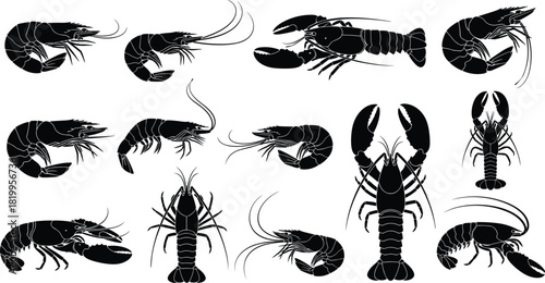 Collection of black silhouette seafood vector illustrations, featuring various shrimp, prawns, and lobsters, isolated ocean animal set for restaurant menu, market, and food design.