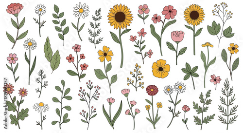 Collection of diverse wildflower illustrations, featuring various floral elements and botanical designs, perfect for artistic and decorative purposes