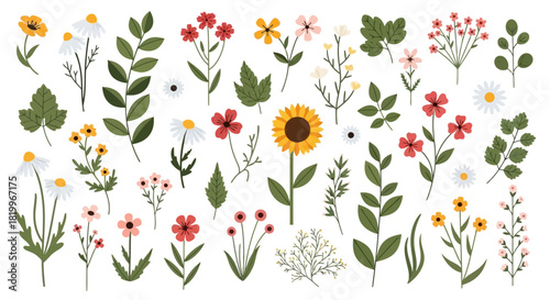 A delightful collection of vibrant wildflowers and delicate green leaves, showcasing nature's artistry in a charming botanical arrangement