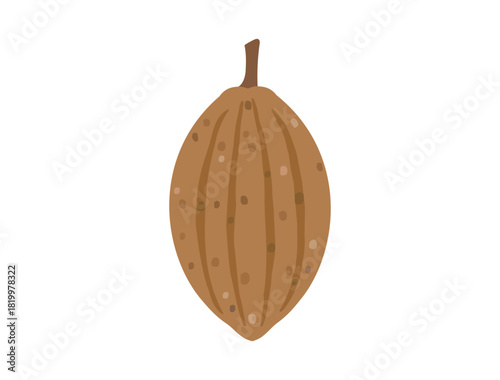 カカオの実をイメージしたイラスト