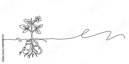 Rooted in Vitality, A continuous line drawing of a plant rooted in a human heart