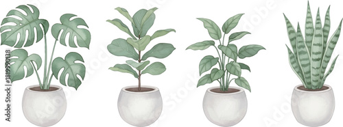 観葉植物水彩風イラストセット