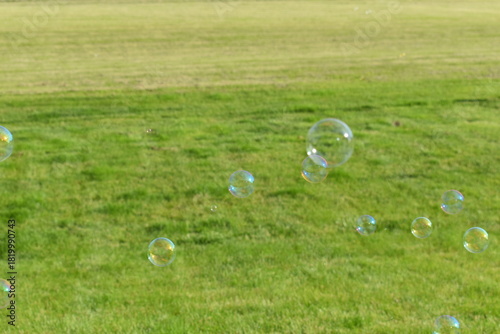 soap bubbles in the grass