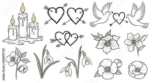 Collection of handdrawn romantic and floral elements