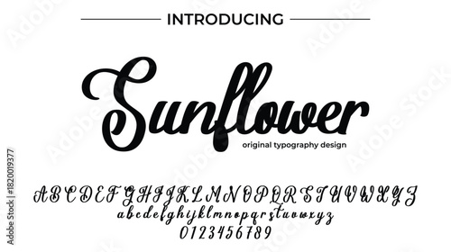 Sunflower - Elegant Script Font for Smooth Handwritten Design and Creative Typography