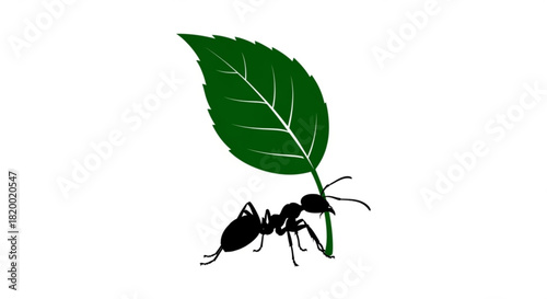 Silhouette of an ant carrying a large green leaf on a white background in a simple illustration