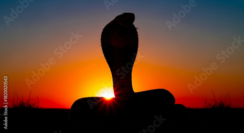 Silhouette of a cobra against a vibrant sunset with orange and yellow hues in the background scene view