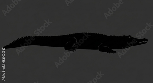 Silhouette of a long crocodile with a textured tail and sharp teeth on a dark background image