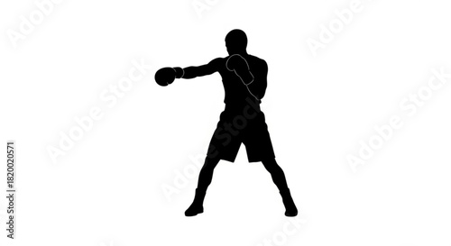 Silhouette of a boxer in action throwing a punch with boxing gloves on a white background image view