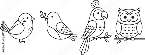 Cute Outline Cartoon Birds Vector Set Simple Line Art of a Sparrow, Dove, Parrot, and Owl.