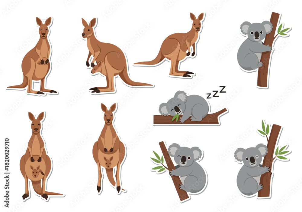 Obraz premium Collection of Cute Australian Animals Kangaroos and Koalas Illustration