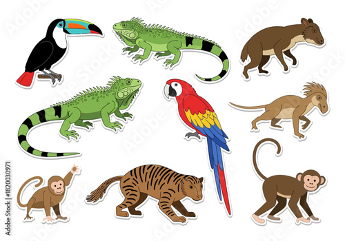 Exotic Wildlife Illustration Toucan, Iguana, Macaw, Monkey & More Animals