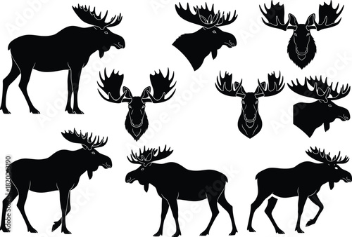 Collection of detailed moose silhouettes and head illustrations showcasing wildlife design, animal shapes, antler variations, and nature-themed graphic artwork