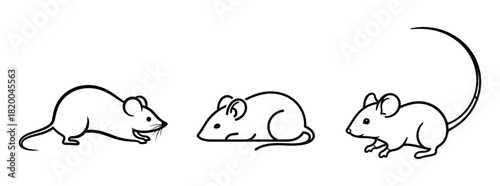 Cute mice set Illustration of three cartoon mice in different poses and angles
