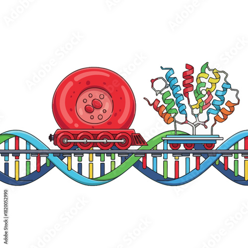 Molecular Train Transporting Protein Along DNA Rail