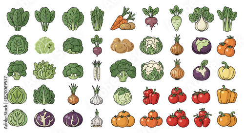 Vector illustration of a fresh set of assorted vegetables isolated on a white background