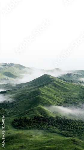 A vast landscape of rolling green hills covered in mist, with dense forests nestled in the valleys. The scene is bathed in soft, diffused light, creating a sere