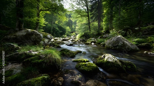 Serene Forest Stream Flowing Over Mossy Rocks Amidst Lush Green Trees.