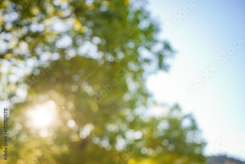 自然のぼかし背景