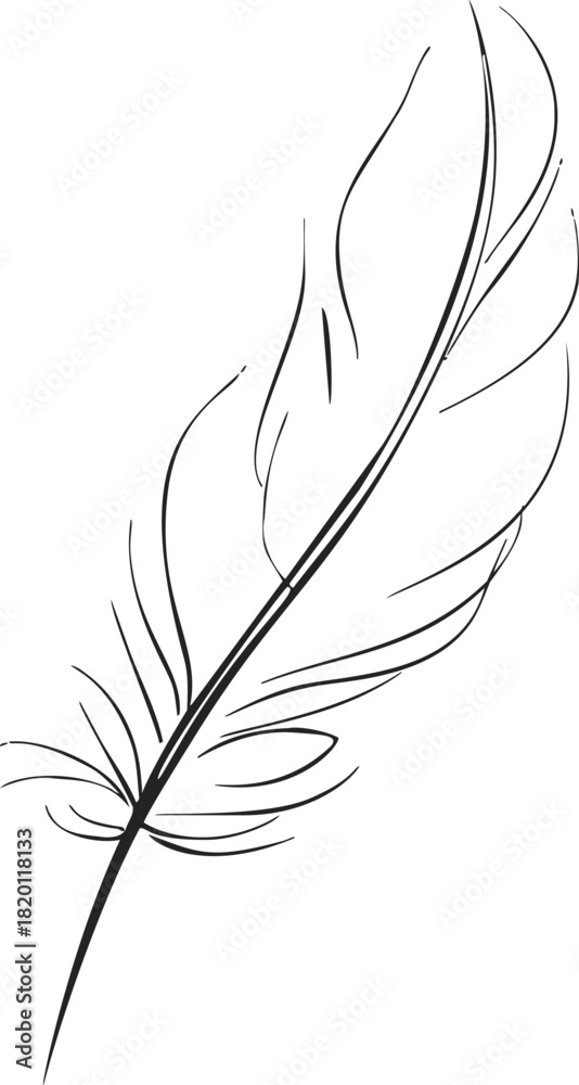 Obraz premium Feather sketch hand drawn line art with elegant minimalist outline. Vector illustration