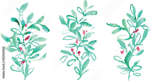 水彩画。水彩タッチのクリスマス植物背景フレーム。ヒイラギのクリスマスフレーム。ベクター化された水彩画。
Watercolor painting. Watercolor Christmas plant background frame. Christmas holly frame. Vectorized watercolor painting