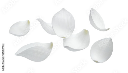 Delicate white flakes, reminiscent of garlic or onion petals, gracefully scattered and falling against a pristine background, symbolizing freshness, purity, and essential natural ingredients