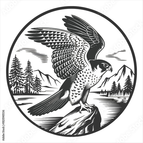 Peregrine falcon in flight over mountain landscape woodcut style