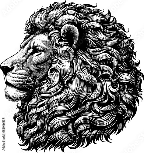 Majestic lion illustration showcases a detailed drawing of a lion's head in profile, highlighting its powerful mane and regal bearing. Illustrative lion artwork captures intricate details