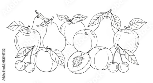 Fruit Medley Line Art Fresh Apple, Peach, Pear, and Cherry Outlines