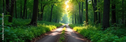 A winding forest road disappearing into the dense woods, sunlight dappling through the canopy  Perfect for travel, adventure, and nature themes ,  peaceful,  scenic,  escape