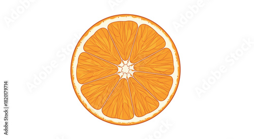 Detailed and realistic illustration of a juicy cross-section of a ripe orange fruit, isolated on a white background.
