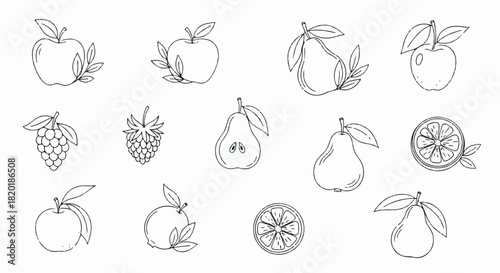 Elegant Hand-Drawn Fruit Collection Apple, Pear, Orange, and Berry Illustrations