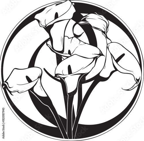 Elegant Calla Lily Illustration: A refined and sophisticated line art illustration of calla lily, showcasing its graceful form and delicate petals in a minimalist design.