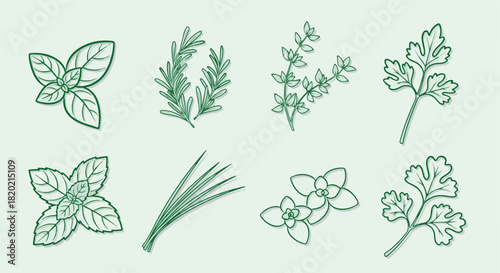 Fresh herbs collection with transparent background