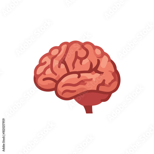 Brain Illustration Anatomical Symbol on White Background