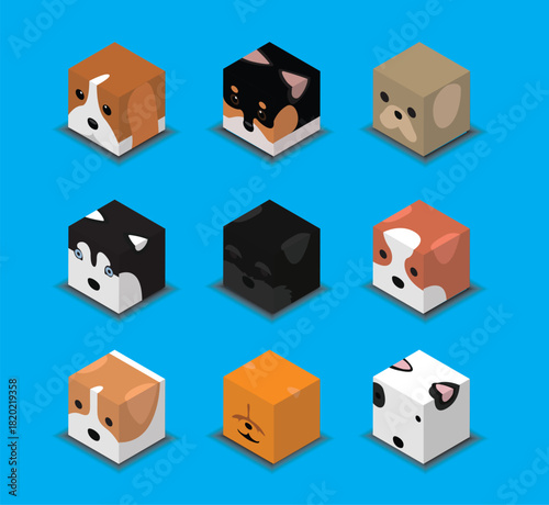 Dice Box 3D Character Pet Medium Dogs Animal Set Cartoon Vector