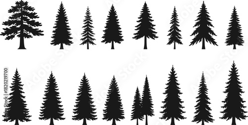 Collection of black pine tree silhouettes of various sizes and shapes on a white background