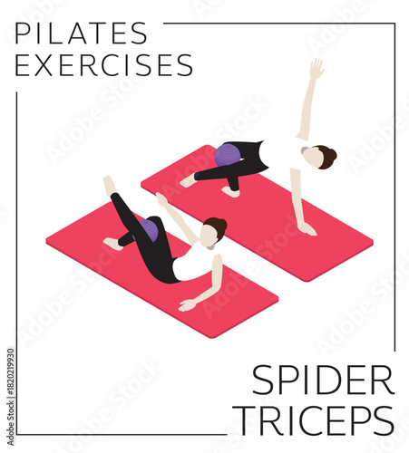 Pilates Ball Exercise Spider Triceps Isometric Vector