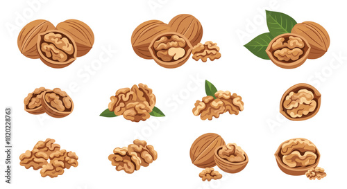Various arrangements of walnuts, featuring whole, cracked, and shelled nuts, some with green leaves, presented on a clean white background.