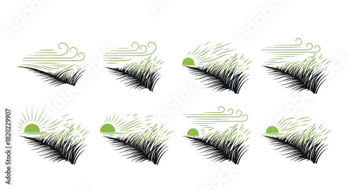 Palm tree sunrise scene with wind and light